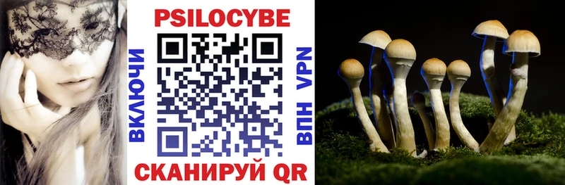 Галлюциногенные грибы Psilocybine cubensis ОМГ ОМГ сайт Шахунья